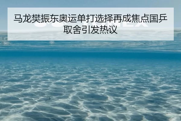 马龙樊振东奥运单打选择再成焦点国乒取舍引发热议